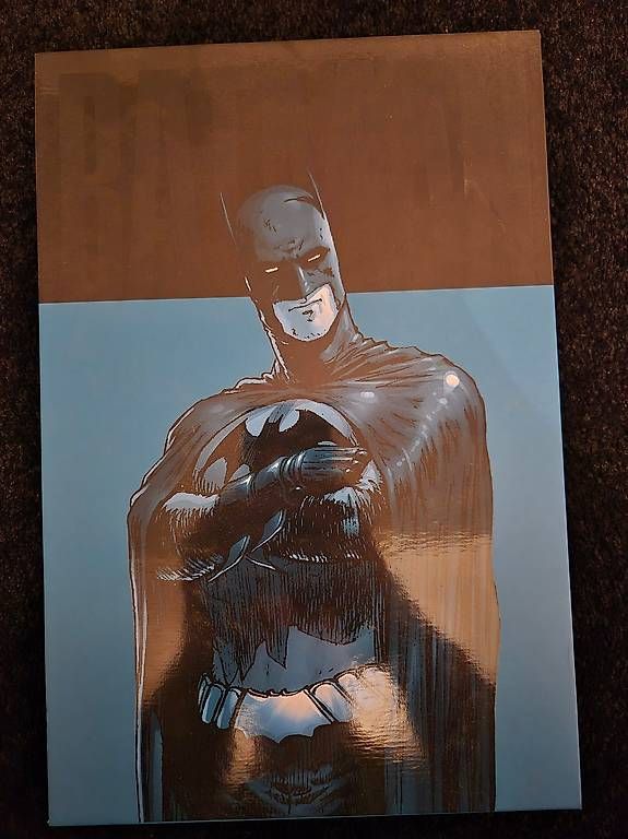 Fumetti: Absolute Batman & Robin: Batman Reborn – Usato da Flawil venduto da bloedmann1989