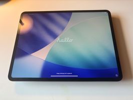 iPad Pro 13” M5 256GB Cellular Schwarz – so gut wie neu
