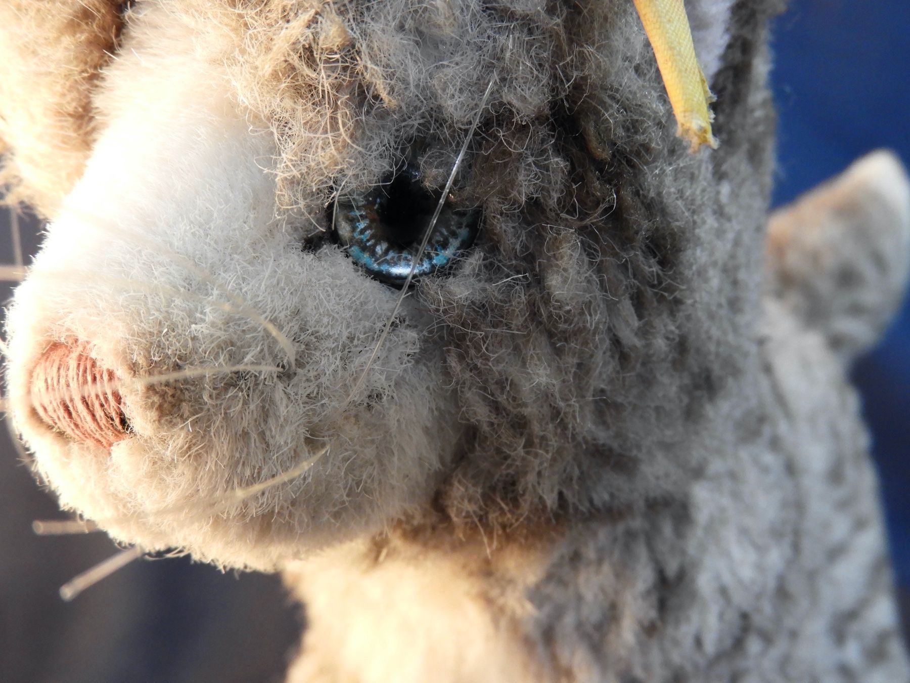 Steiff Spielzeuge: Original Steiff  Katze Plüschtiet – Gebraucht aus Horw von luzernicus 6