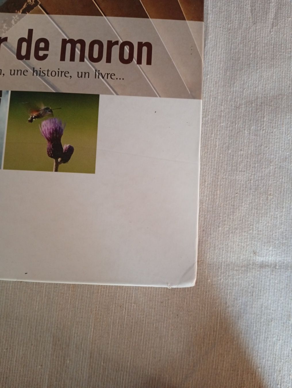 Libri: Tour de Moron – Usato da Perrefitte venduto da 36B 1