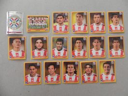 Panini Fussball WM Südafrika 2010 Paraguay 17 Stk. 429 - 447