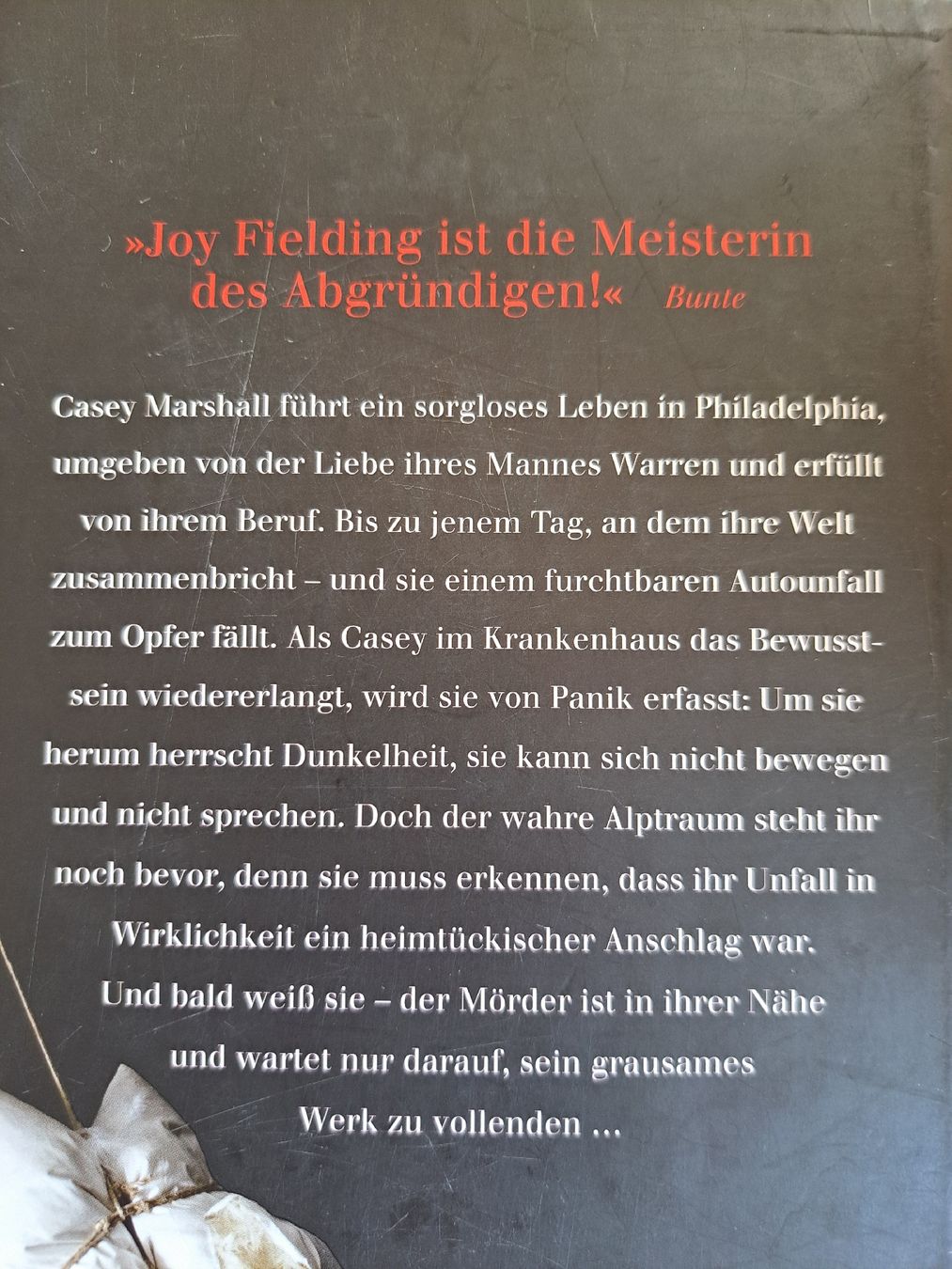 Libri: Bücher Joy Fielding – Usato da Grosshöchstetten venduto da Roswitha88 3