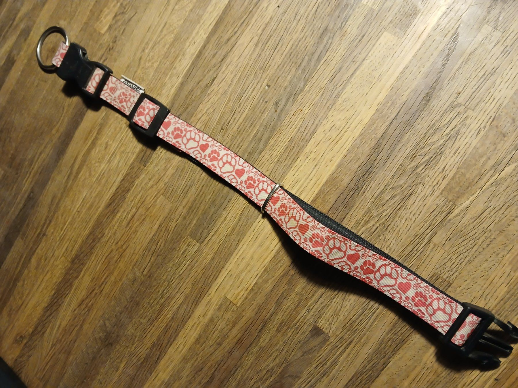 Swisspet Collier et laisse: Halsband – D'occasion à Oberramsern par lal_7v57 2