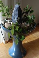 Wunderschöner Zimmerbrunnen mit Pflanzen für dein Zuhause