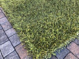 Teppich grün schwarz gebraucht guter Zustand