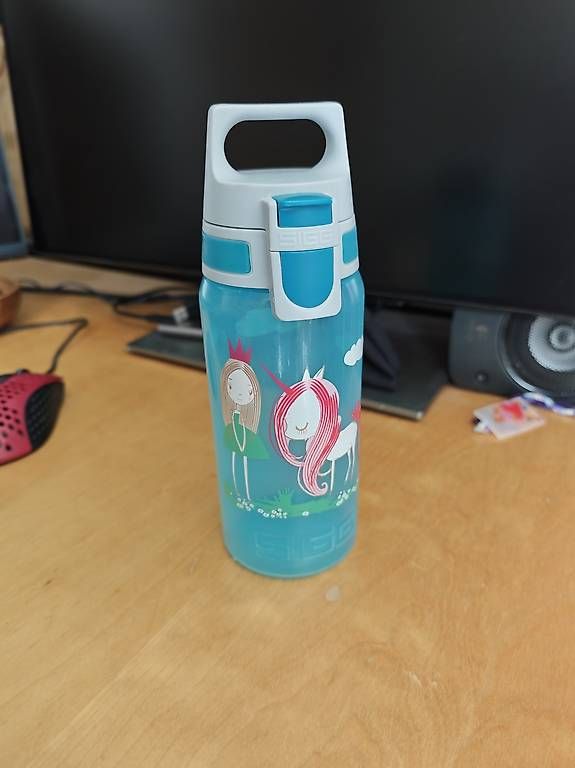 Gourdes & Thermos: Sigg Wasserflasche – D'occasion à Untersiggenthal par schnaegg8542