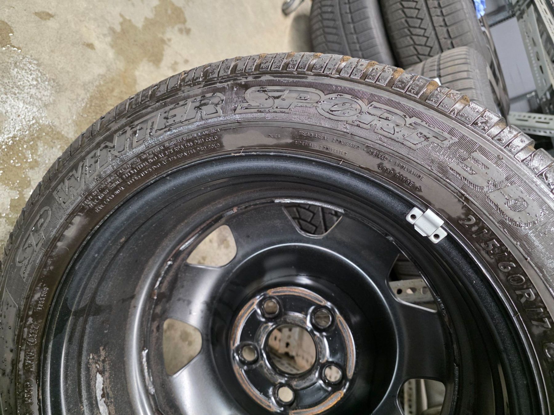 Pneumatici & Ruote complete: VW T5 / T6 / T6.1 Winterradsatz – Usato da Gähwil venduto da schmidgarage9534 2