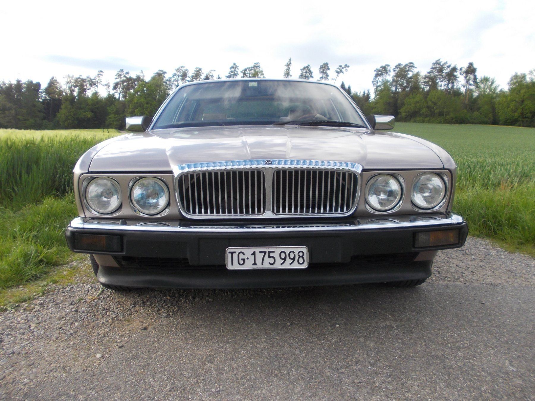 Jaguar Automobili: Daimler Jaguar Oldtimer zu verkaufen – Usato da Affoltern am Albis venduto da sva_7qsb 1