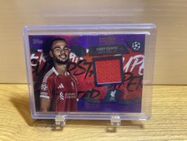 Cody Gakpo Relic Purple /250 Topps UEFA 2025-26 Liverpool