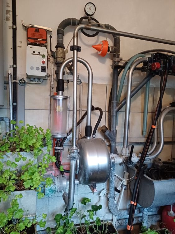 Rohrmelkanlage Kaufen auf Ricardo