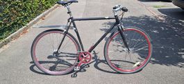 Urban Rider 7-speed Velo