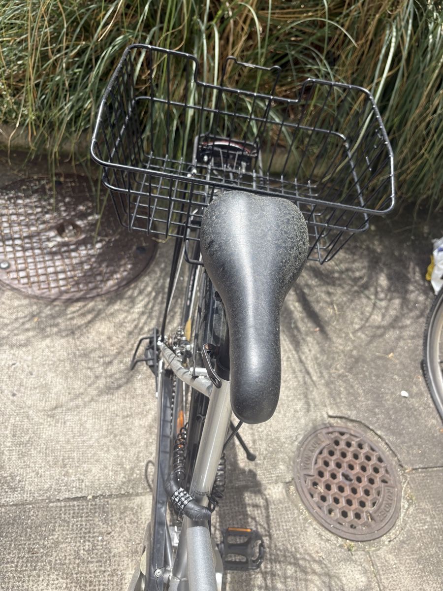 Crosswave Biciclette: Citybike – Usato da Basel venduto da sandra____ 3
