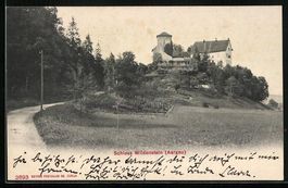 AK Wildenstein, Blick auf das Schloss