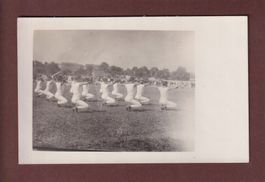 Photo GYMNASTIQUE