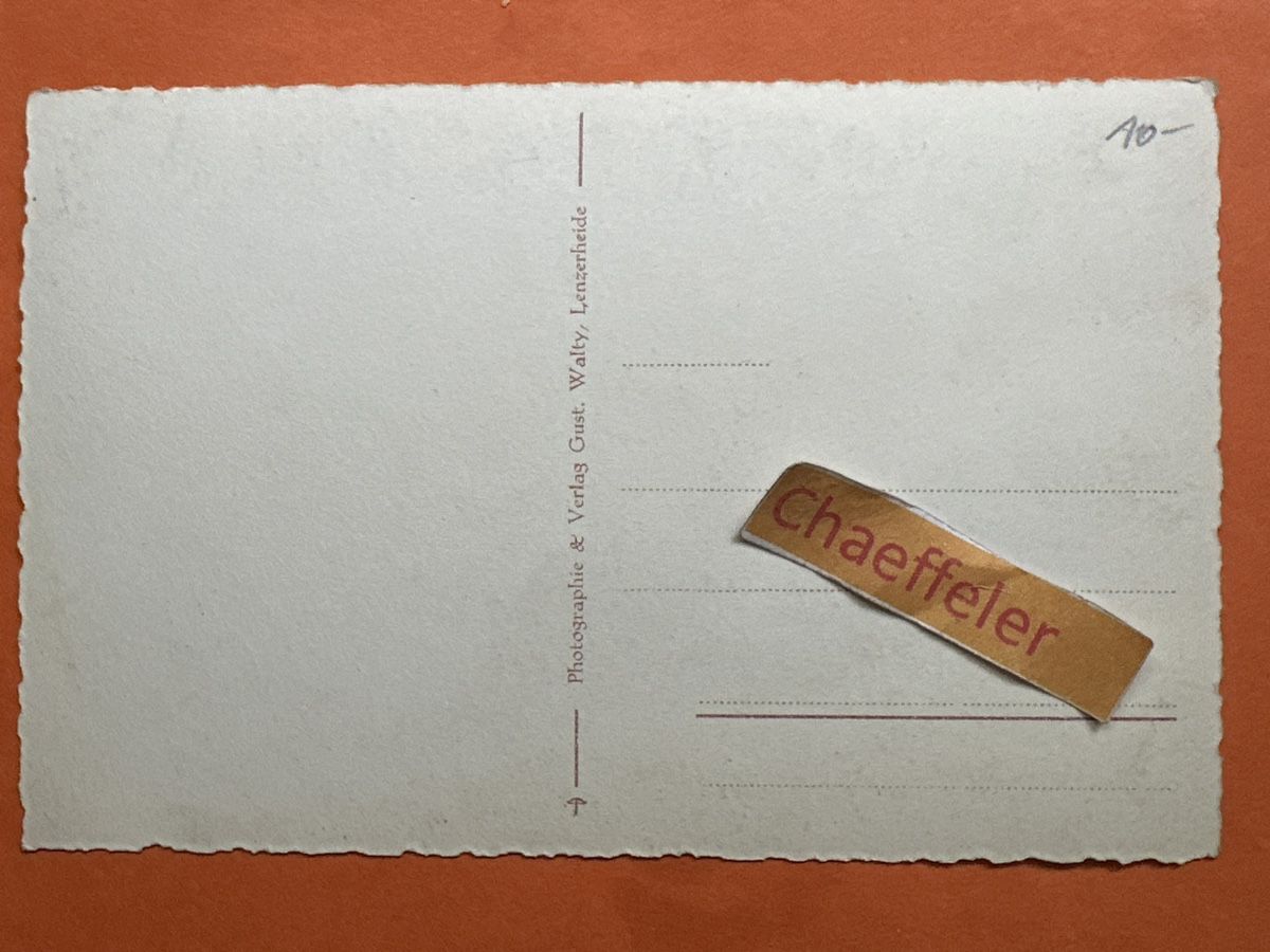 Cartoline postali: 19 Sedrun, Dorfidylle. Mit Schaf-Herde – Usato da Zürich venduto da Chaeffeler 1