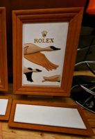 Rolex Display