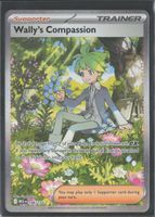 POKÉMON / Wally's Compassion / Mega Evolution 🇺🇸