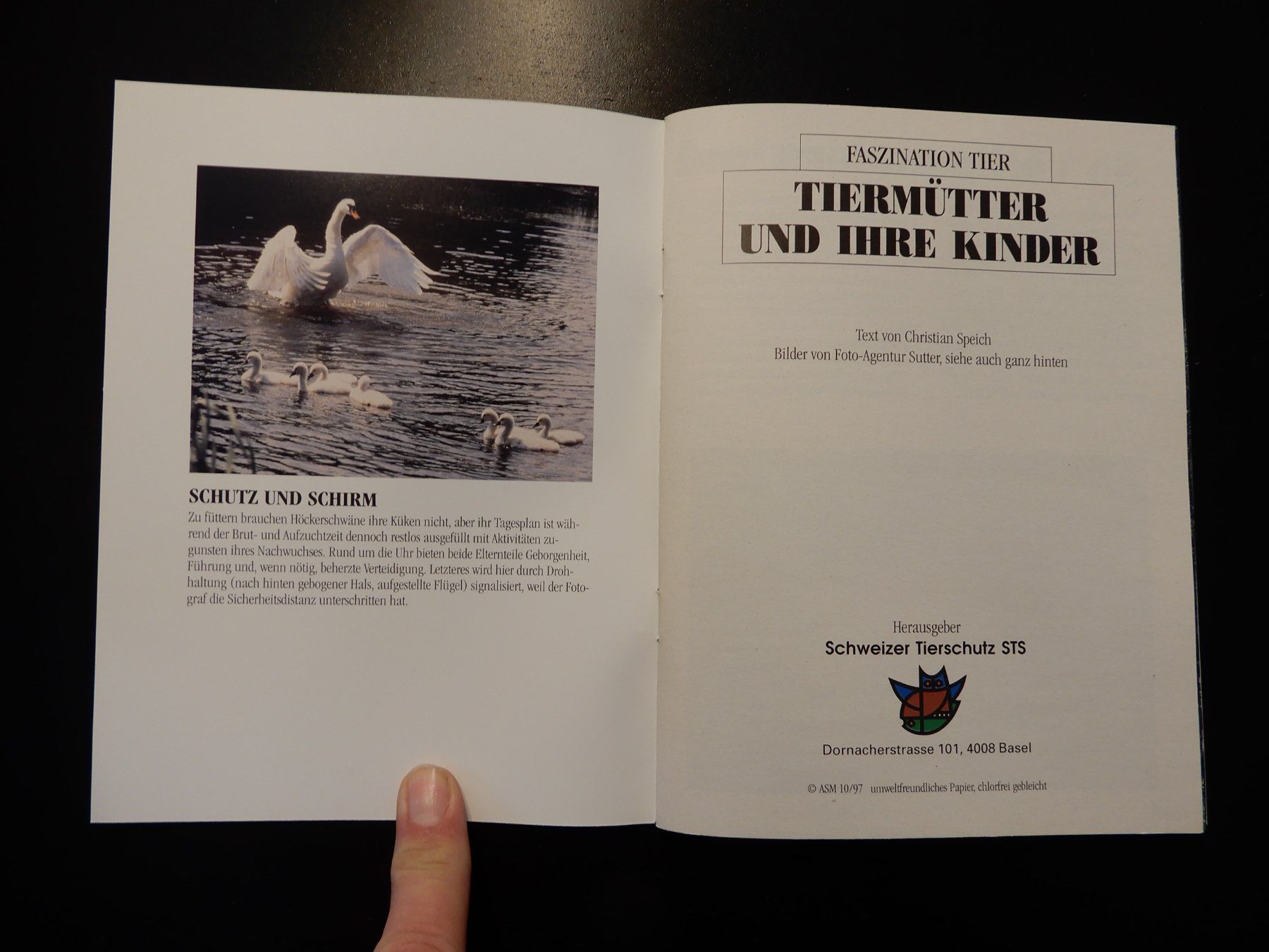 Bücher: Tierbuch "Tiermütter und ihre Kinder" STS – Gebraucht aus Erstfeld von Mario_boe0 1