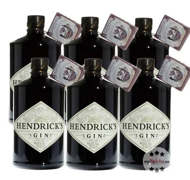 Bevande alcoliche: Gin Hendricks 6 flasche – Usato da Schönenwerd venduto da 1952kv
