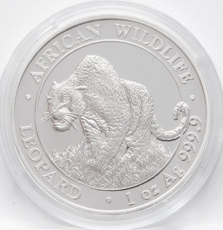 LEOPARD African Wildlife Coloured 1 Oz Moneta Argento 100 Shillings Somalia 2023 - Foto 9