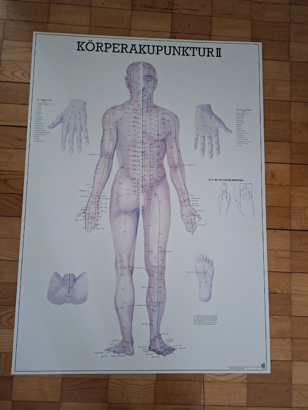 Foto & Immagini: Meridianposter – Usato da Emmenbrücke venduto da Minejapa 1