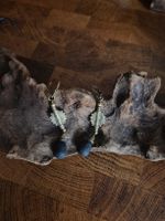 Ohrhänger Messing mit Lava im Ethno Stil Hippie