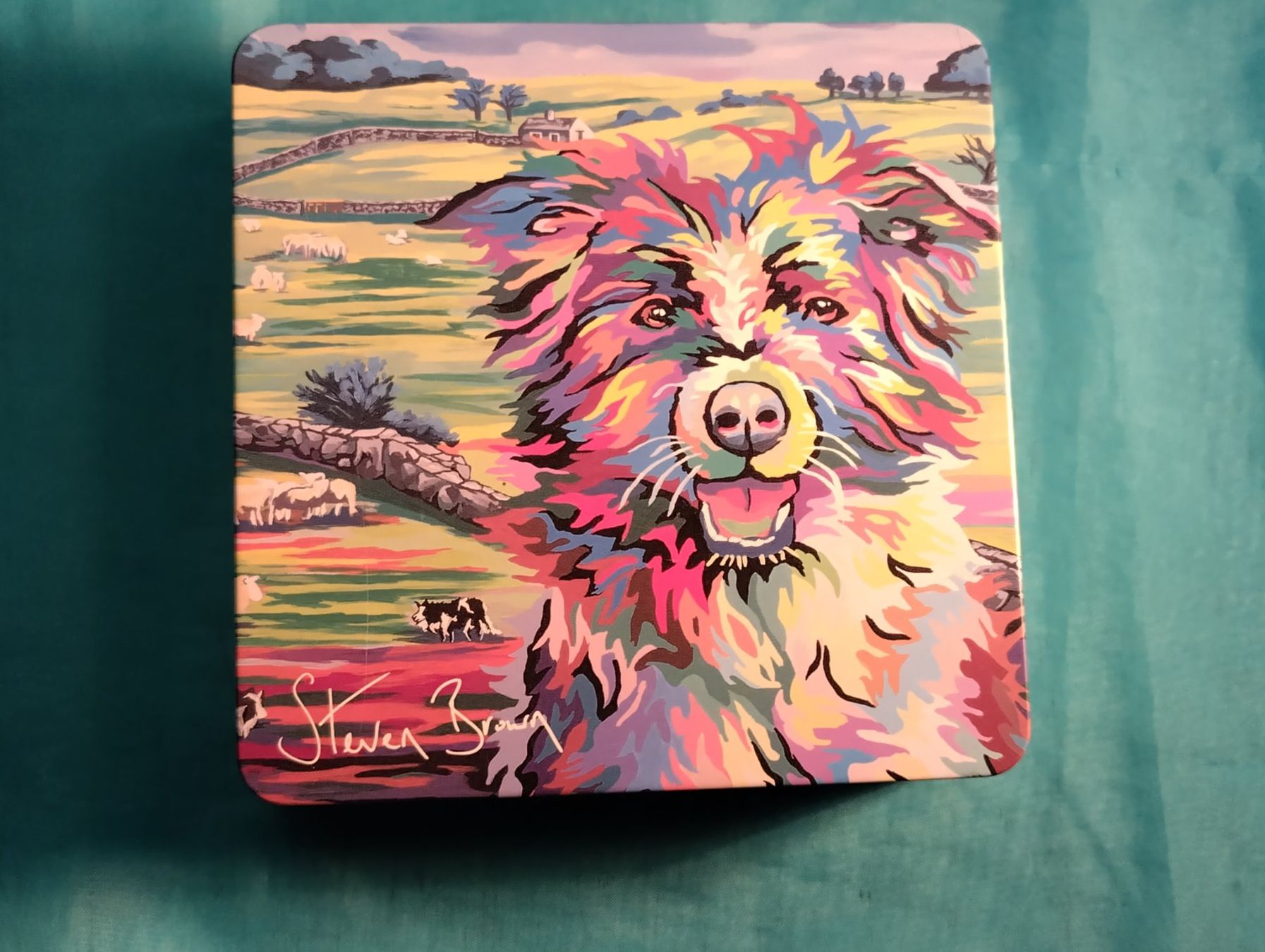 Altro in Decorazioni & Accessori: Blechbüchse Scottish Terrier, Steven Brown – Nuovo (secondo la descrizione) da Bellach venduto da JingleCherry