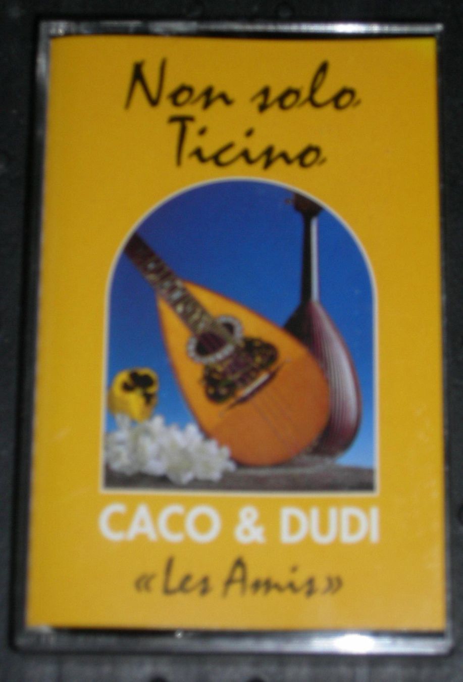 Musicassette: NON SOLO TICINO MC.Cassette – Nuovo e nell'imballaggio originale da Ascona venduto da he9fabus