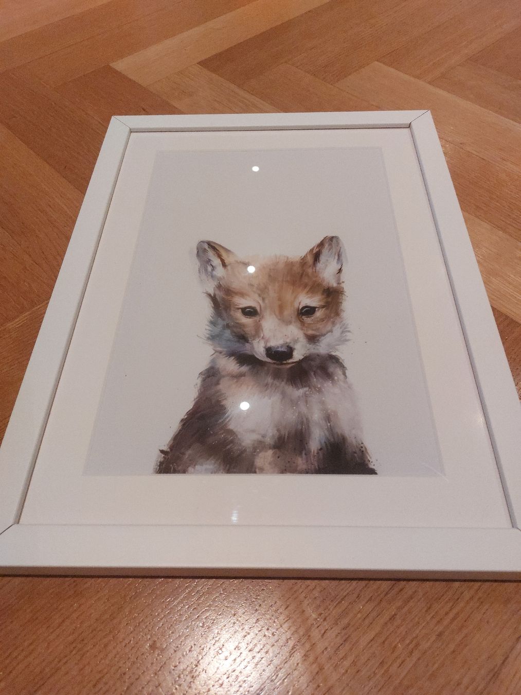 Foto & Immagini: 4x Cute Animal Pictures, incl. white frames – Usato da Zürich venduto da Lolaad 1