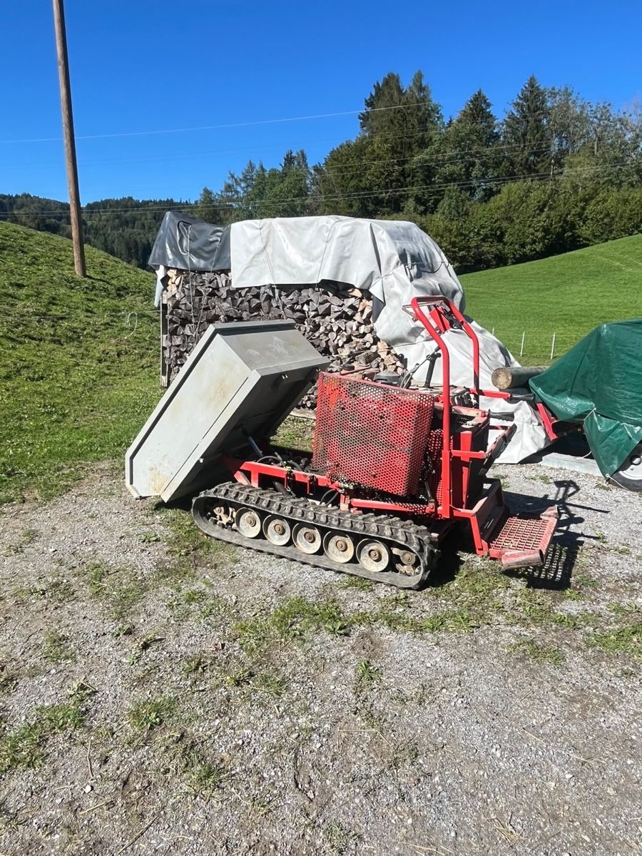 Autoribaltabili: YANMAR Raupendumper / 780kg – Usato da Stein AR venduto da Krison98 4