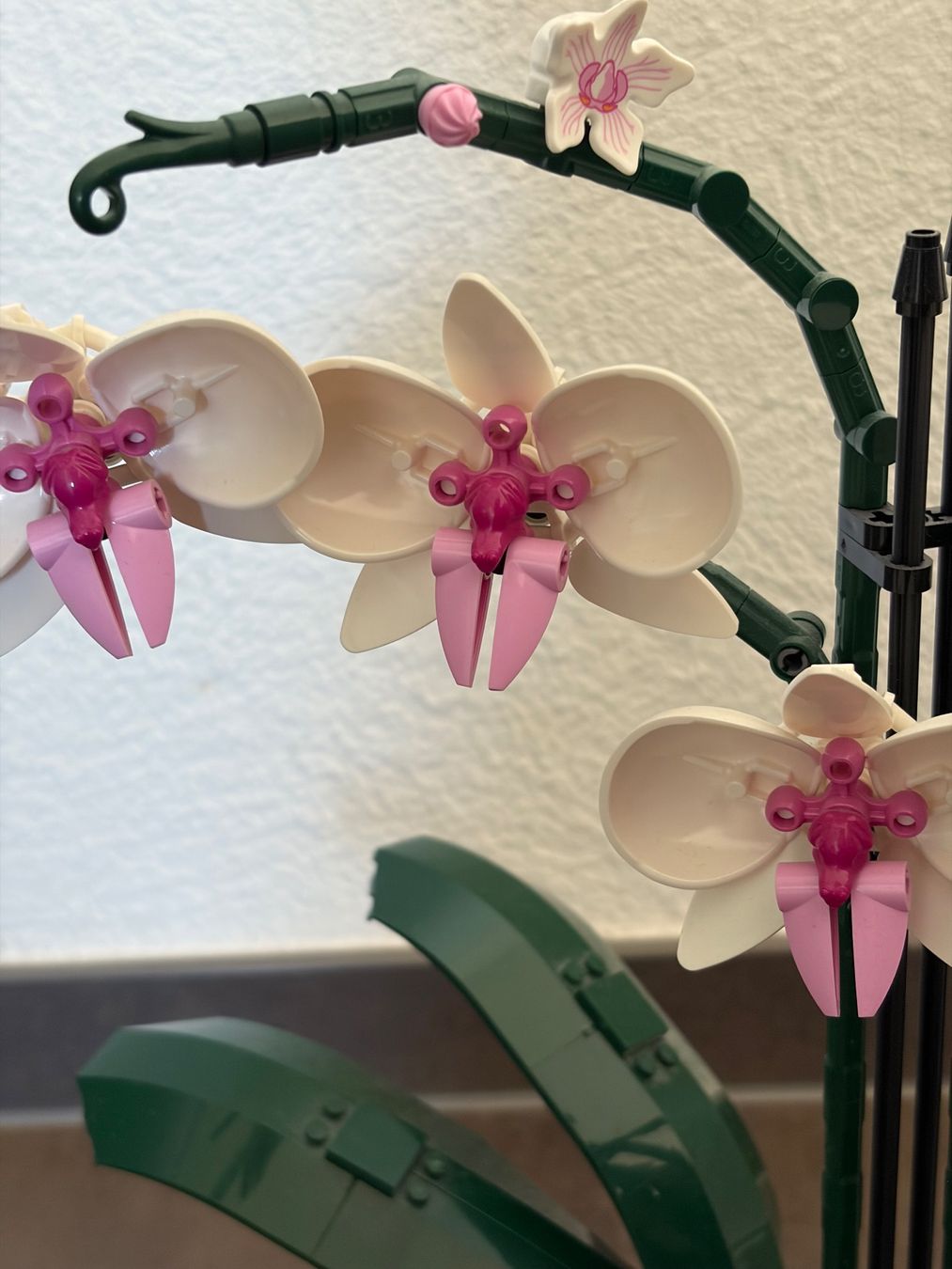 Lego Giocattoli: LEGO Orchidee – Usato da Oberrohrdorf venduto da sar_r25p 1