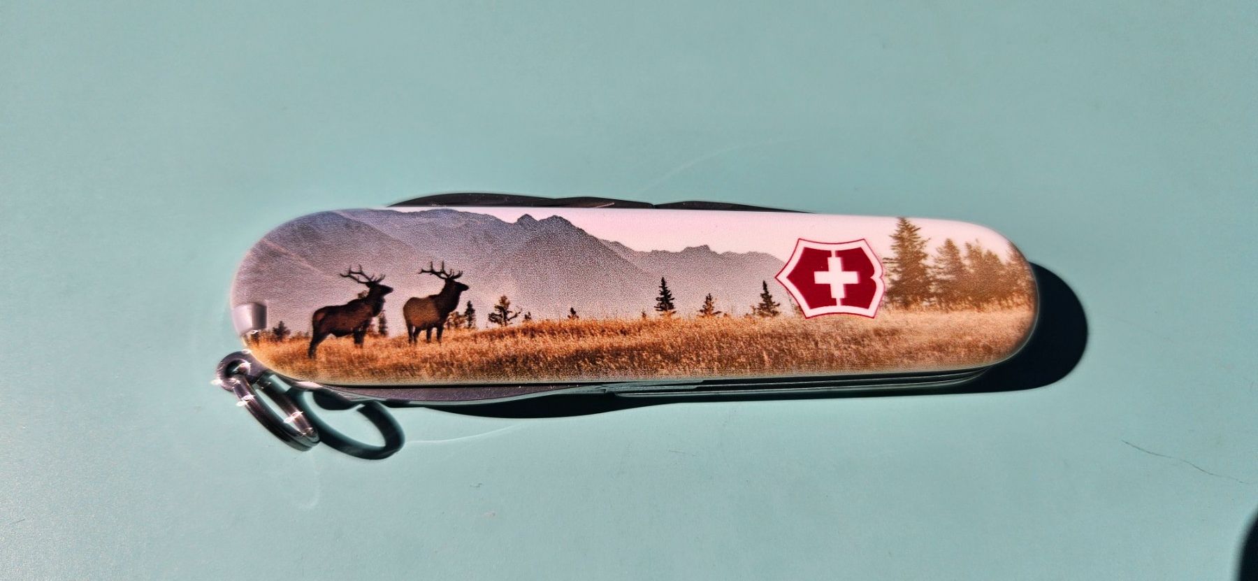 Victorinox Coltelli tascabile: Victorinox Tinker Elch und Bär – Nuovo e nell'imballaggio originale da Bernhardzell venduto da Bigbboy4014 2