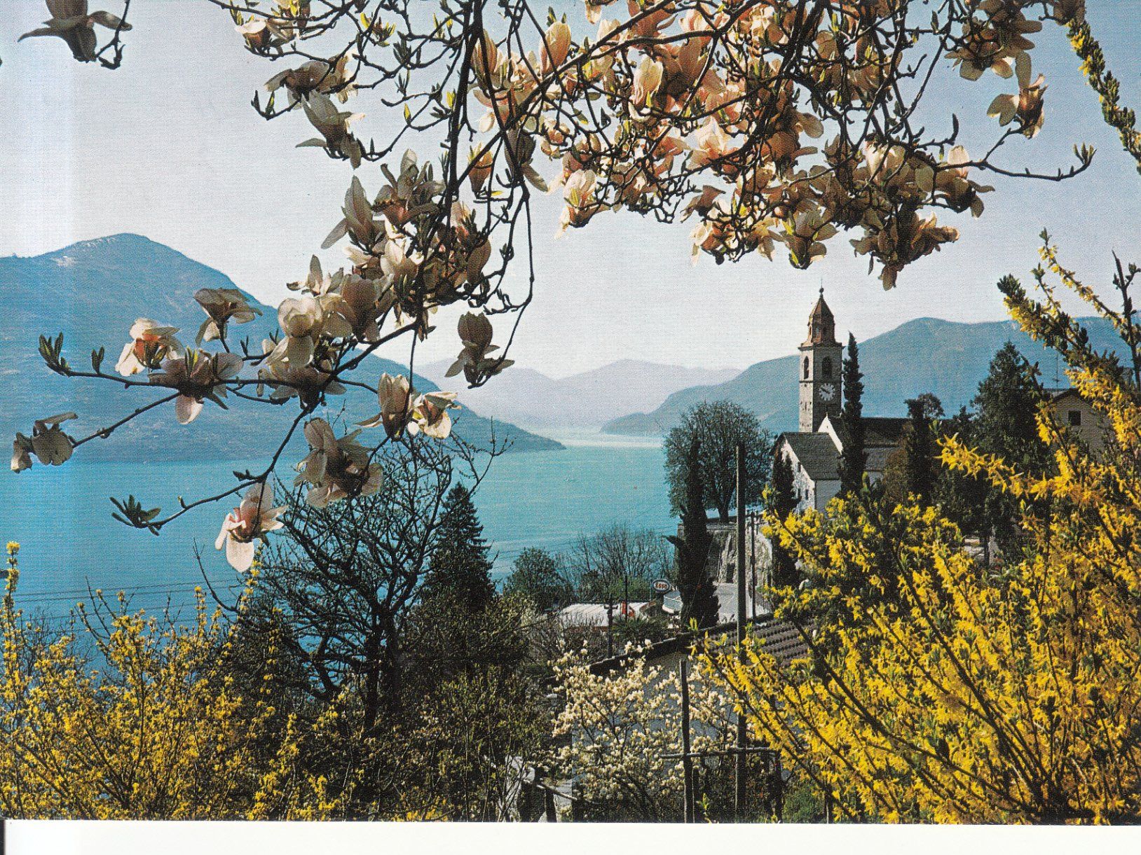Cartoline postali: Ronco ca. 1970 – Usato da Bürglen TG venduto da StampGraf