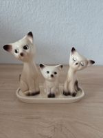 Herziges Katzen Tisch Menange Salz,Pfeffer, Zahnstocher 
