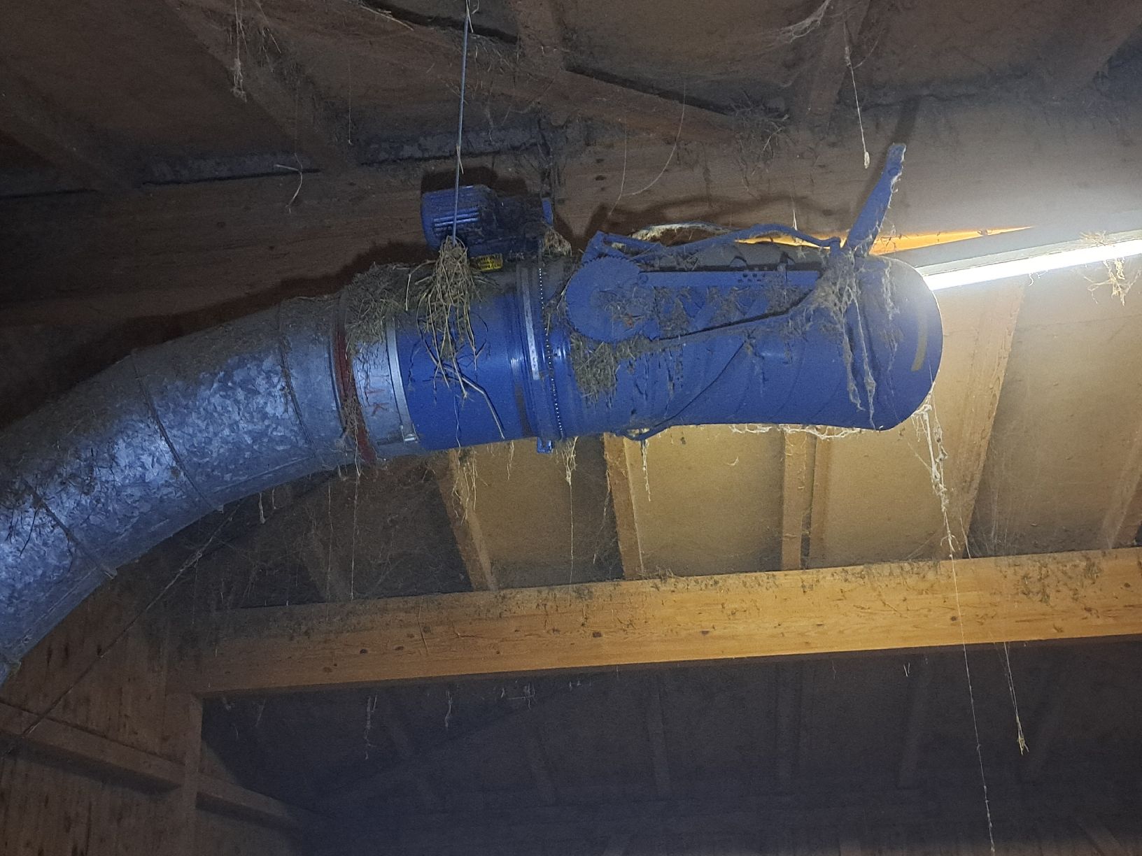 Tutte le macchine: Teleskopverteiler – Usato da Wettingen venduto da ML03 1