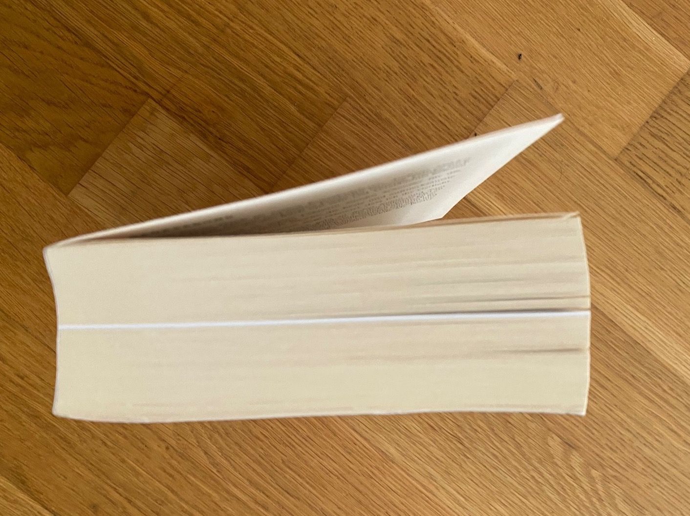 Libri: Roman "Dem Horizont so nah" – Nuovo (secondo la descrizione) da Riedholz venduto da lenibeni03 3