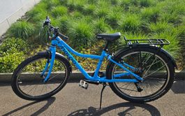 NALOO Chameleon 24  / Light Blue