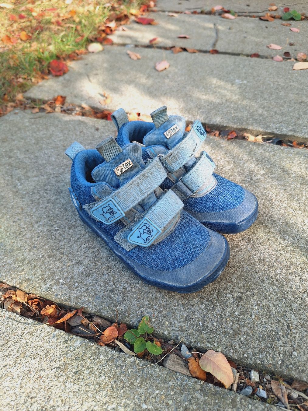 Affenzahn Schuhe für Jungen: Affenzahn gr 25 blau – Gebraucht aus Winterthur von pat.paw