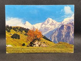 Mürren, Blick auf Eiger und Mönch / Berner Oberland