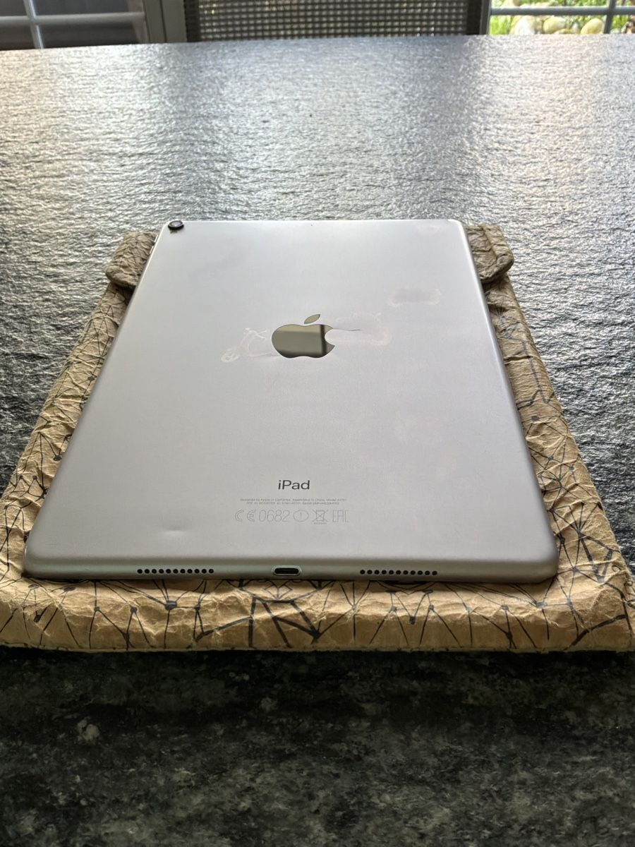 Apple Tablet PC: iPad Pro 1. Generation, 256GB, silber inkl. Apple Pencil – Usato da Bremgarten AG venduto da Belana0 4