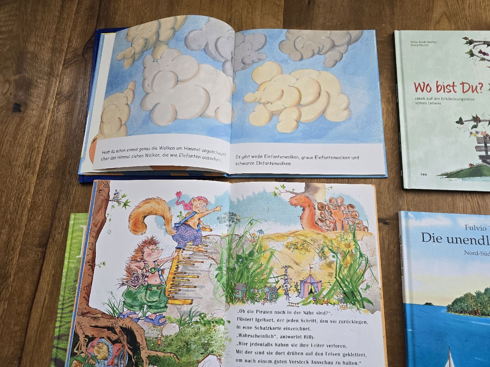 Livres: bücher set – D'occasion à Wittenbach par Tigerlili 1