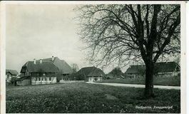 Zauggenried BE bei Fraubrunnen Alchenfluh 1940 selten