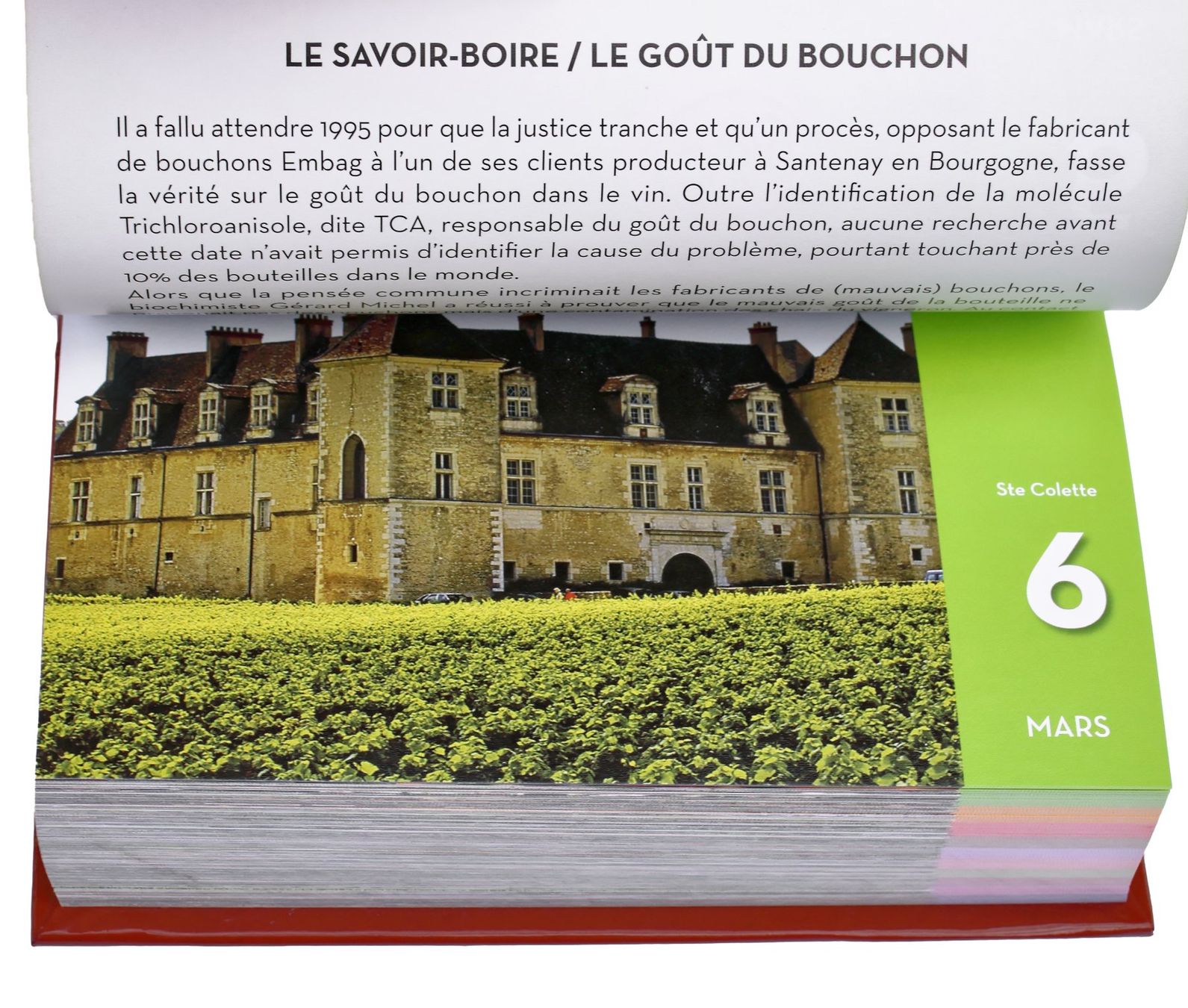 Libri: UN CONSEIL DE SOMMELIER PAR JOUR "Éphéméride" – Usato da Onex venduto da gonsla 6
