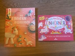 Einhorn Lernkoffer und Bastelbuch sehr guter Zustand!