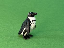 Schleich Brillenpinguin Pinguin 14705