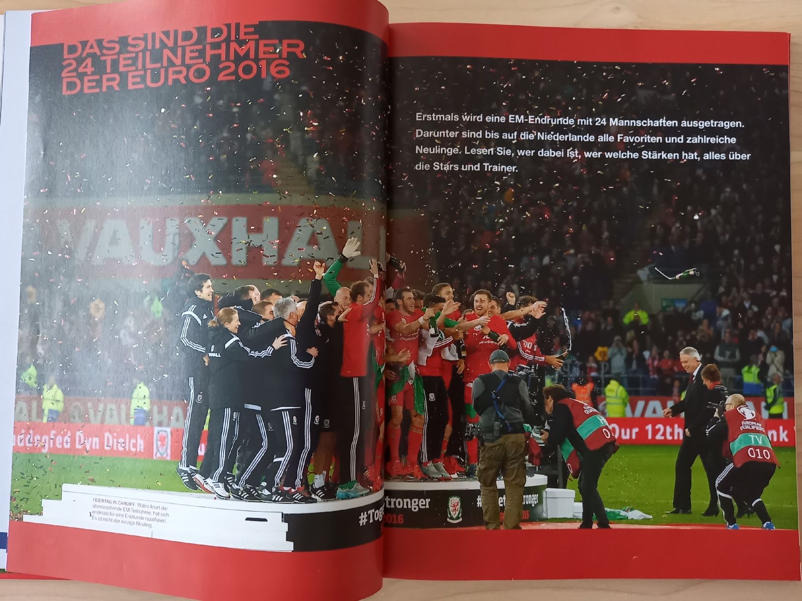 Libri: Buch EURO 2016 in Frankreich – Usato da Obernau venduto da Corolli 3