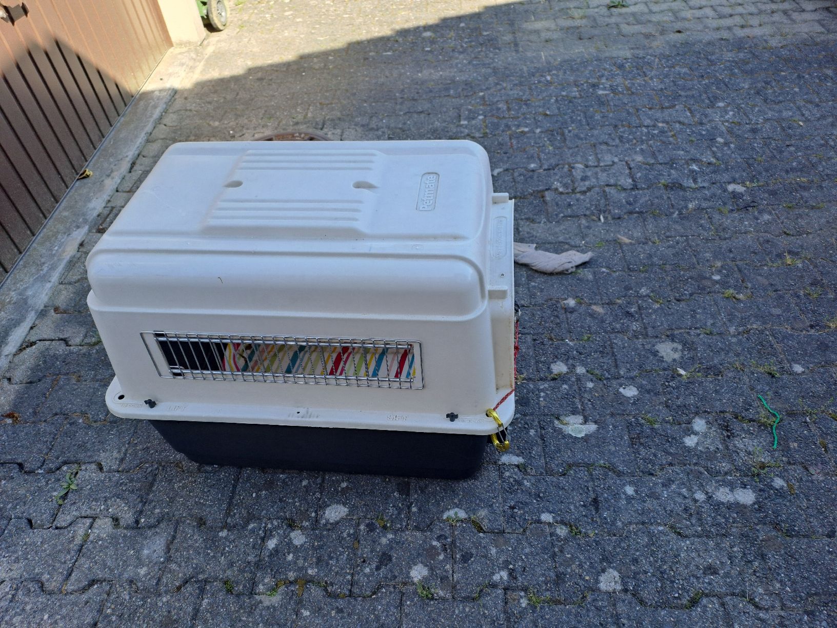 Gabbie, trasporto & Sicurezza: Hundebox  Gross – Usato da Oberburg venduto da herbar2011 1