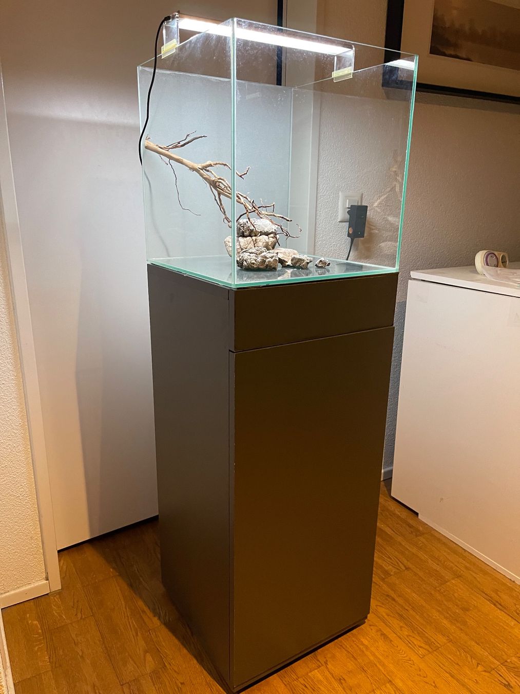 Acquari: Aquarium Cube 60 lt – Usato da Hinwil venduto da ron_t8wh 1