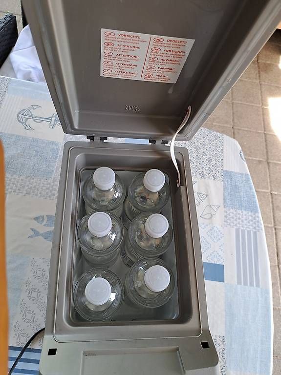 Frigoriferi & Refrigeratori: Kühlbox für Auto – Usato da Orpund venduto da rodolfo58 2