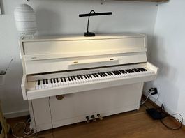 Furstein Silent Piano Weiss Day and night